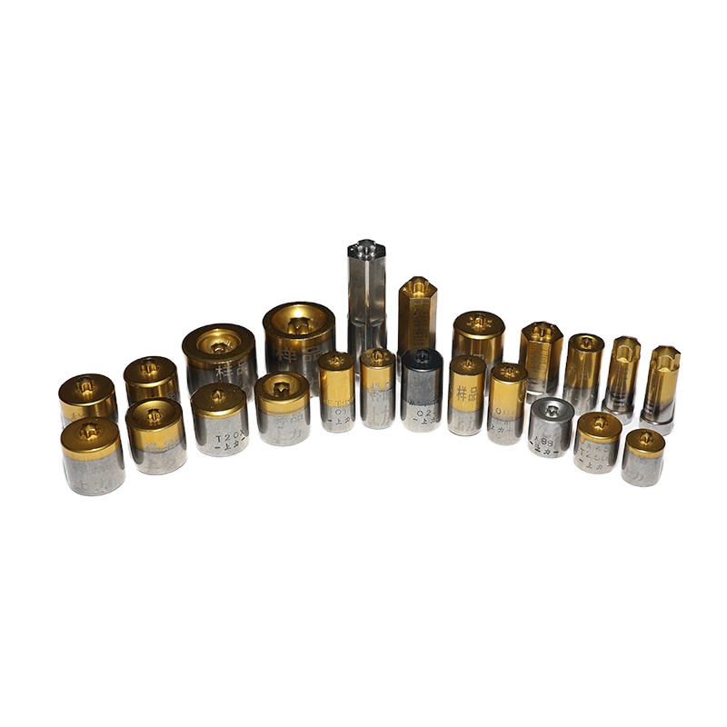 Hot Selling Customized Screw Punch and Die - Standard & Non-Standard Punch Pin