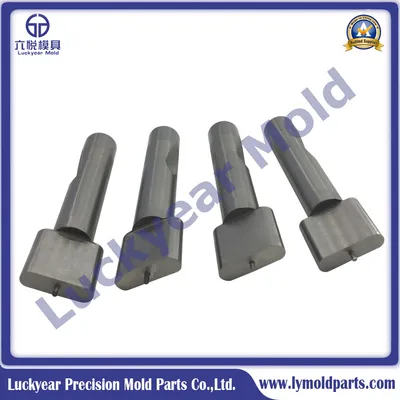Carbide Stamping Dies Mould