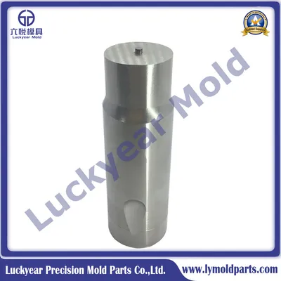 China Top Manufacture Tungsten Carbide Punch