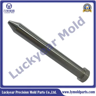 Custom Precision Mould Straight Punch Round Punch