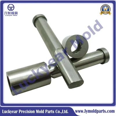 Customized Punch and Die Inserts Manufacturer with Any Coating/Materials