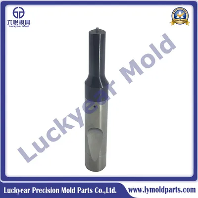 HSS Hws ISO 8020A Punch of Mold Part and Punches