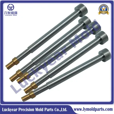 Mould Parts Die Punch and Customed SKD11 Skh9 Circle Punches