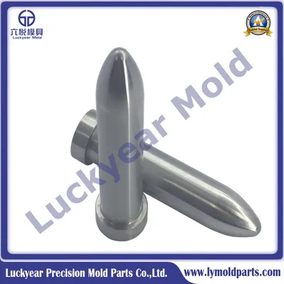 Mould Parts Die Punch and Customed SKD11 and Skh9 Circle Punch