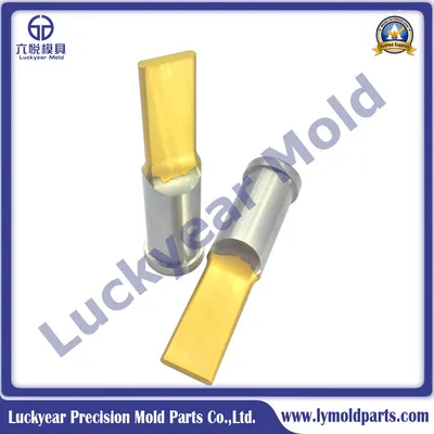 Mould Parts HSS Asp30 Steel Punch