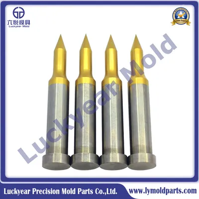 Movable Straight Pilot Punches for Ejection Mould Punch