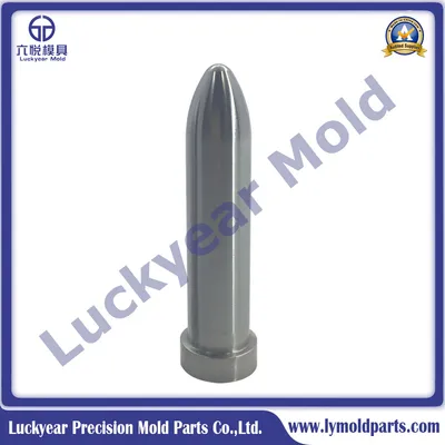 Precision Angle Pin Injection Mould Parts and Punch