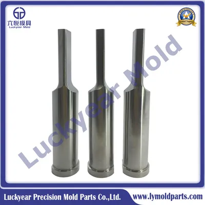Precison Rectangular Shape Punch
