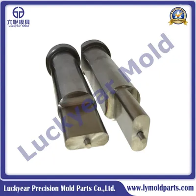 Rectangular Groove Punches and Die Mold