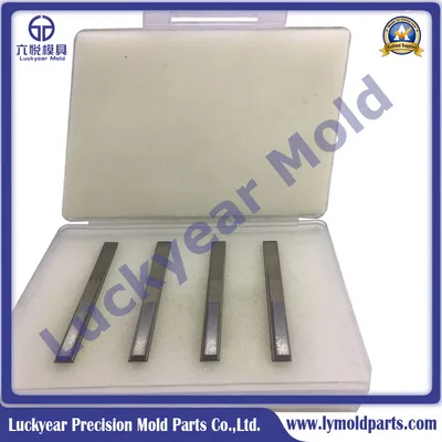 Special Customized Tungsten Carbide Flat Punch for Mold Use