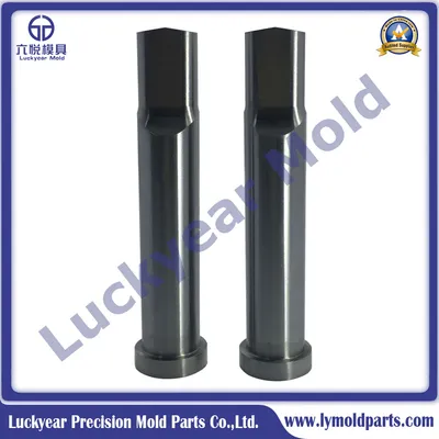 Tungsten Carbide Punches, Precision Punches DIN 9861 Shape Da, DIN 9861 Standard Punch