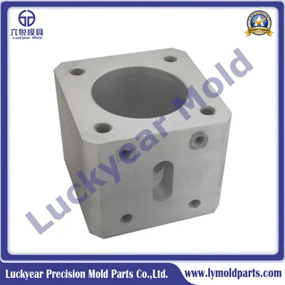 Various Customized Die Mold Part